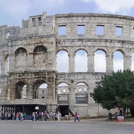 Three Lions Number 2 * Pola