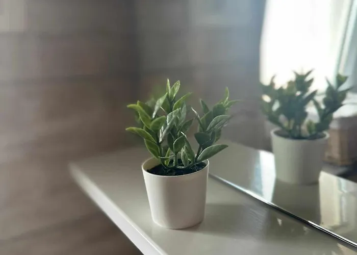 Three Lions Number 2 아파트 풀라