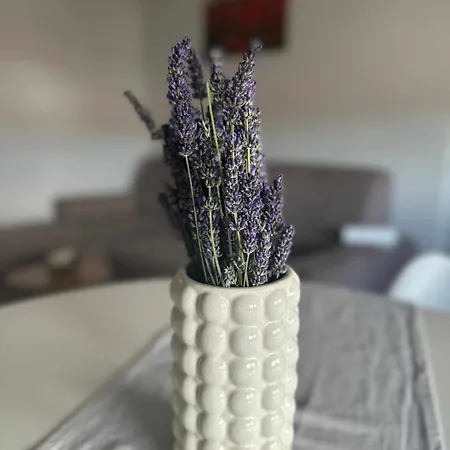 Apartman Three Lions Number 2 Póla