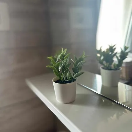 Three Lions Number 2 Apartman Póla